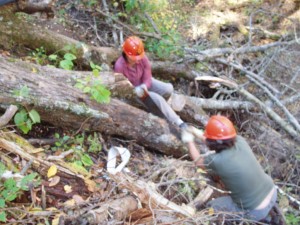 Wild Virginia member Deborah Caudle and Board member Chris Bowlen clearn trail with a crosscut saw. Way to go!