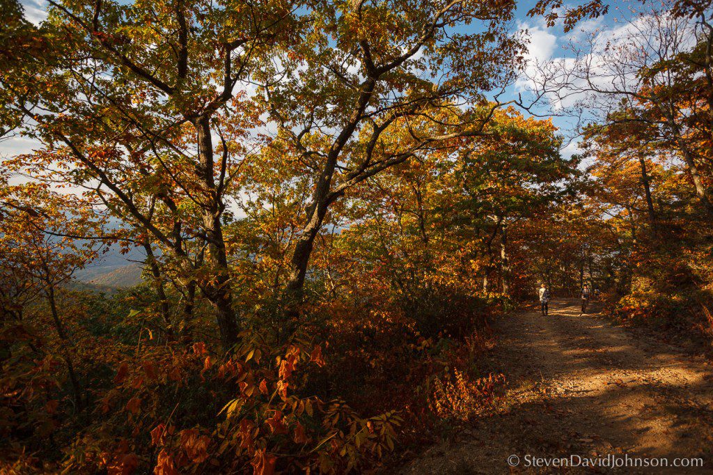 EMU Conservation Photography students on Shenandoah Mountain, Vi