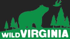 Wild Virginia logo