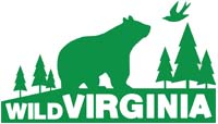 Wild Virginia Logo