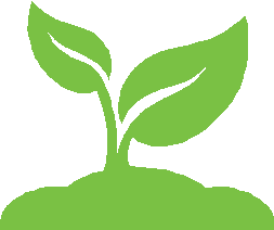 Seedling - $19 