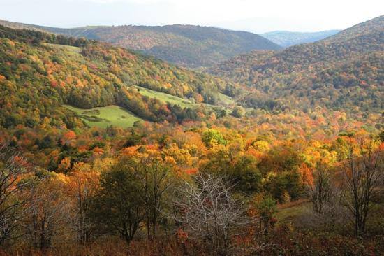 Wild Virginia Response to VOF’s Failure to Defend Conservation Easements