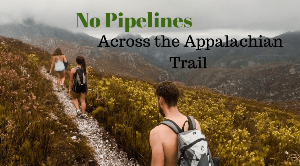 Pipeline Updates Where Do We Stand? Wild Virginia