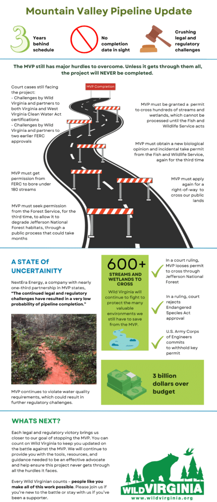 Mountain Valley Pipeline Infographic
