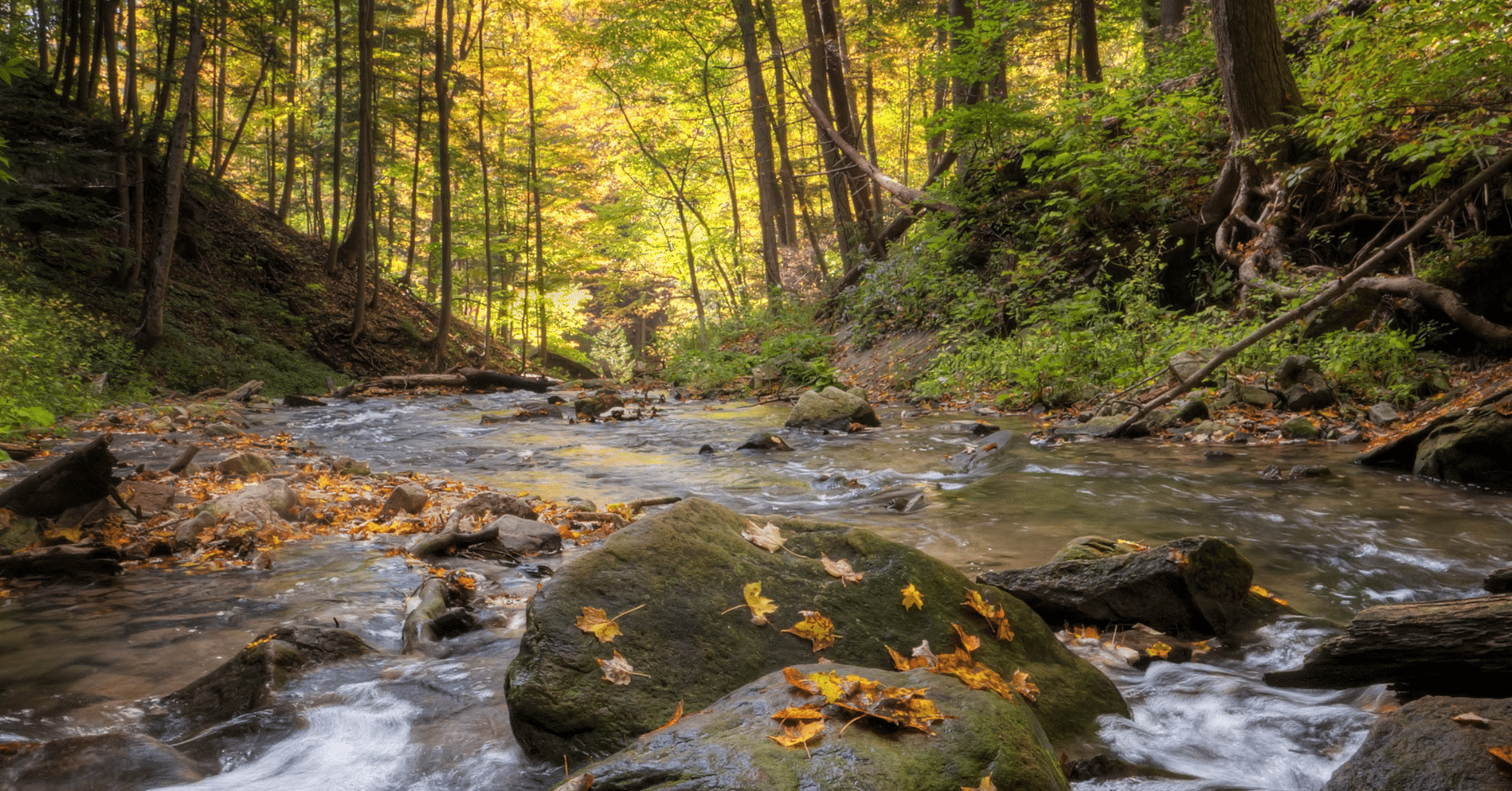 photo of a water body that could be protected by the Clean Water Act