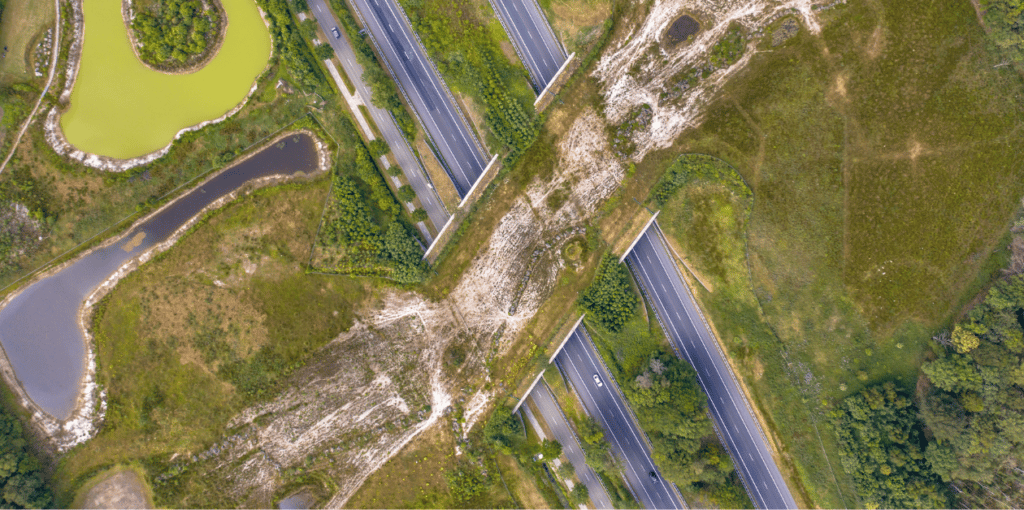 Connecting Wildlife Habitats for Virginia's Flora and Fauna - Wild Virginia