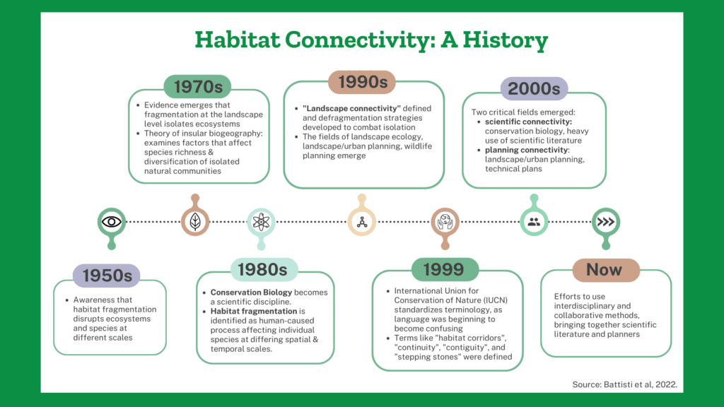 Wildlife Corridors Wild Virginia