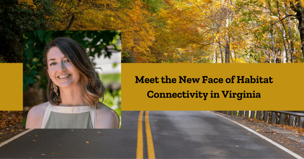 Meet the New Face of Habitat Connectivity in Virginia Wild Virginia