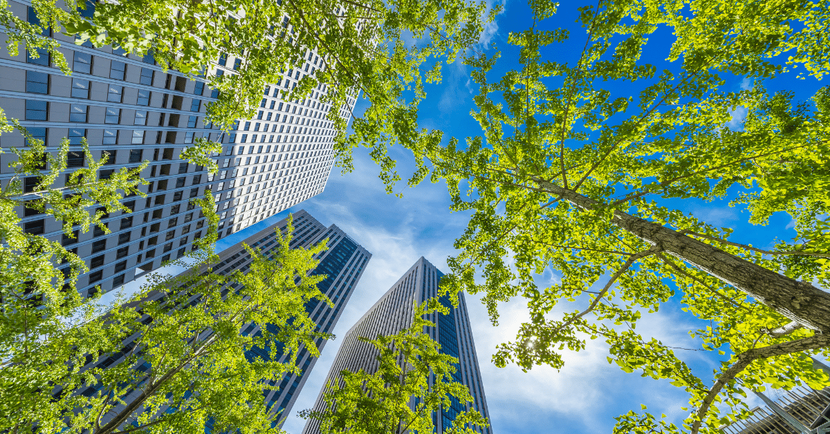urban forest