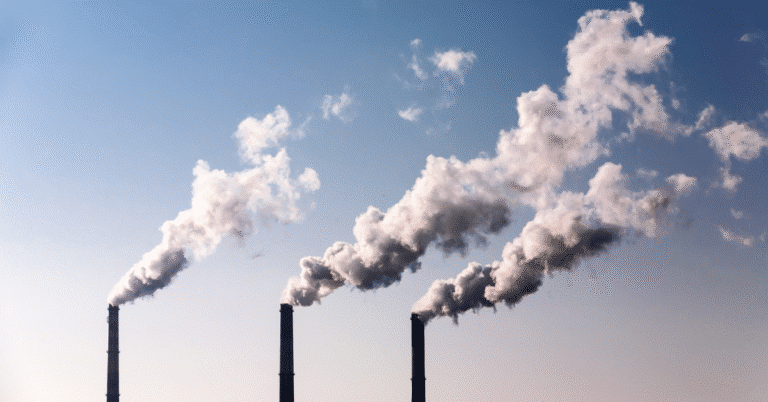Breathing Easy? The Truth About Air Pollution in Virginia - Wild Virginia
